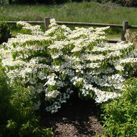 Bed & Breakfast D'hotes Les Laitieres 3*