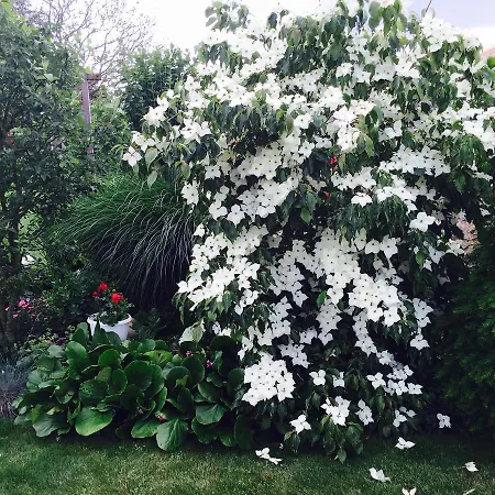 D'hotes Les Laitieres