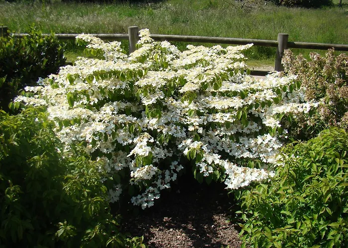 לינה וארוחת בוקר D'hotes Les Laitieres 3*