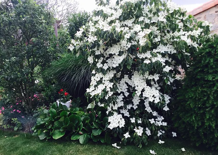 D'hotes Les Laitieres